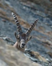 Rencontre surprise !