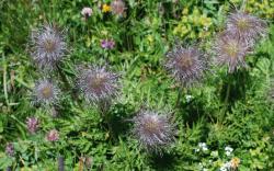 deviendront un mois plus tard de vilains "hommes gris"