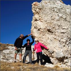 N'y arriverons pas !