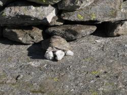 Regardez un peu ce souci du d&eacute;tail